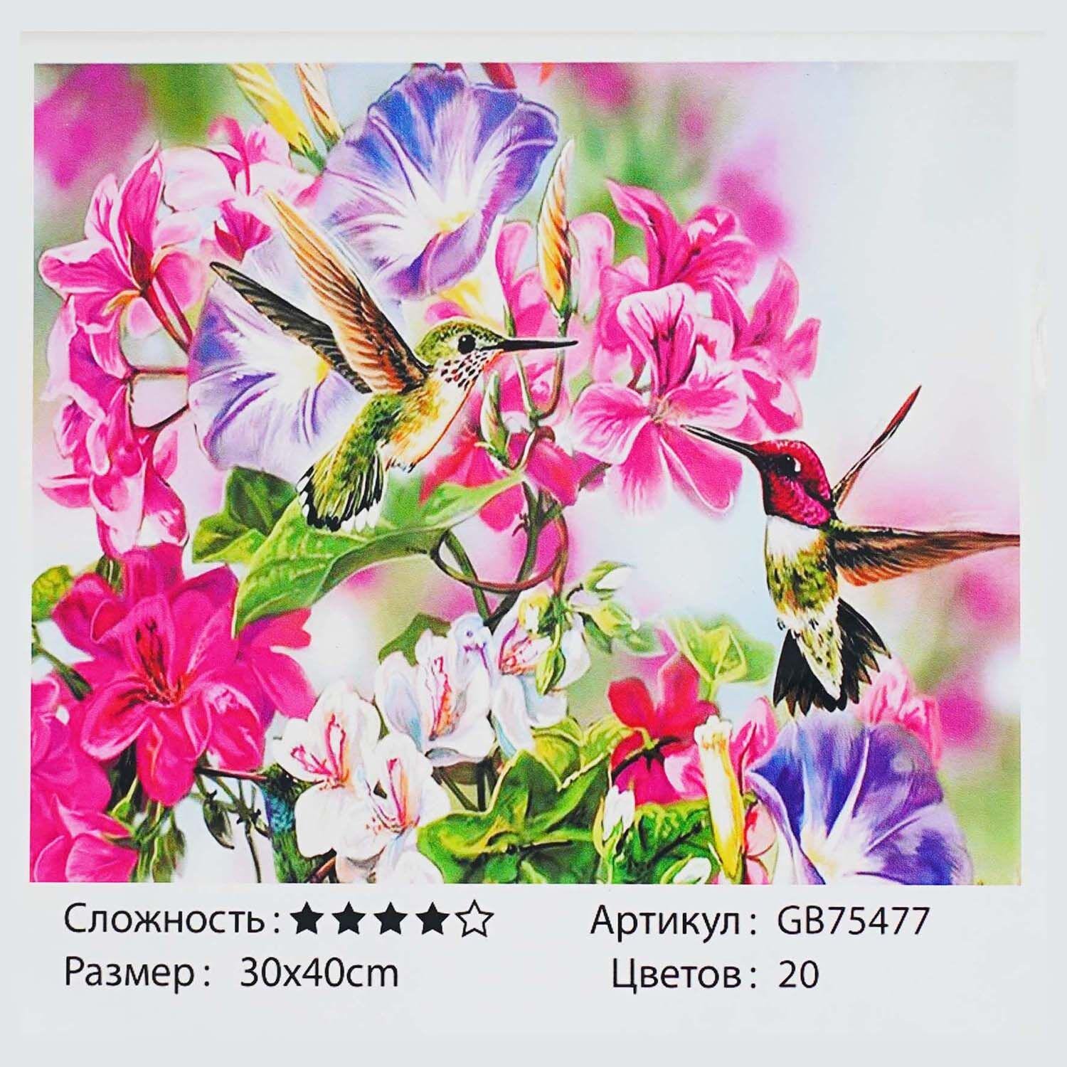 Алмазна мозаїка TK Group Пара колібрі 30х40 см (GB 75477)