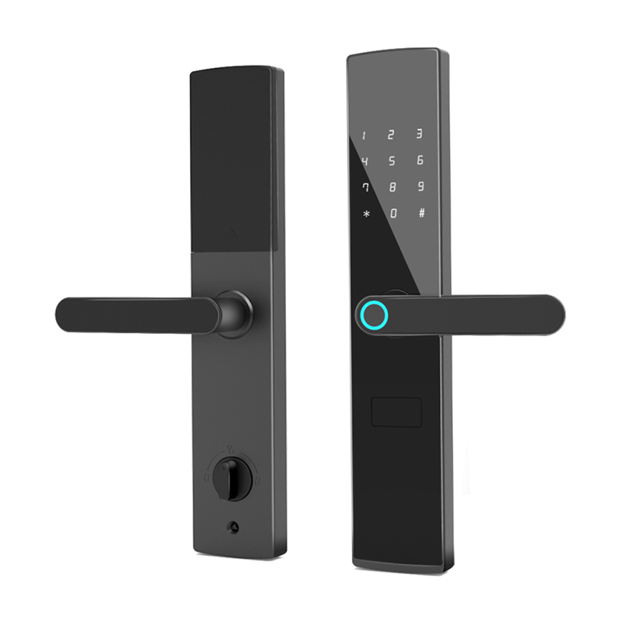 Дверной смарт замок электронный/биометрический запиратель для ворот и дверей/кодовый доступ с механическим ключом (1752046298059)