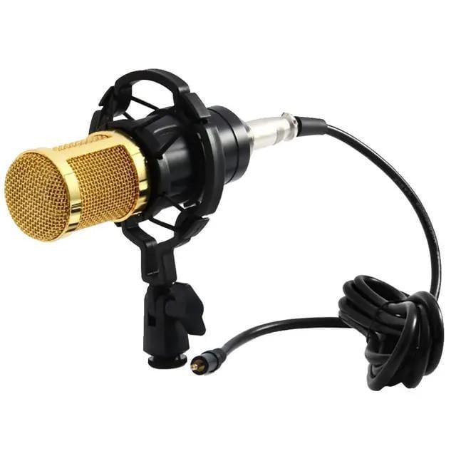 Микрофон со стойкой и ветрозащитой UKC DM 800U студийный (5007)