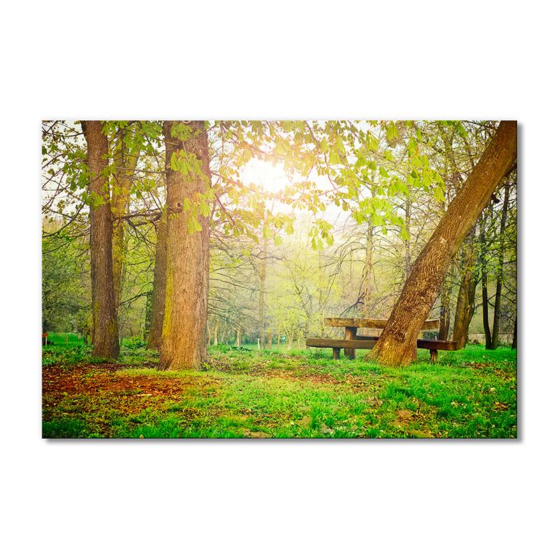Картина модульная Весенний парк 1 модуль 30х45 см