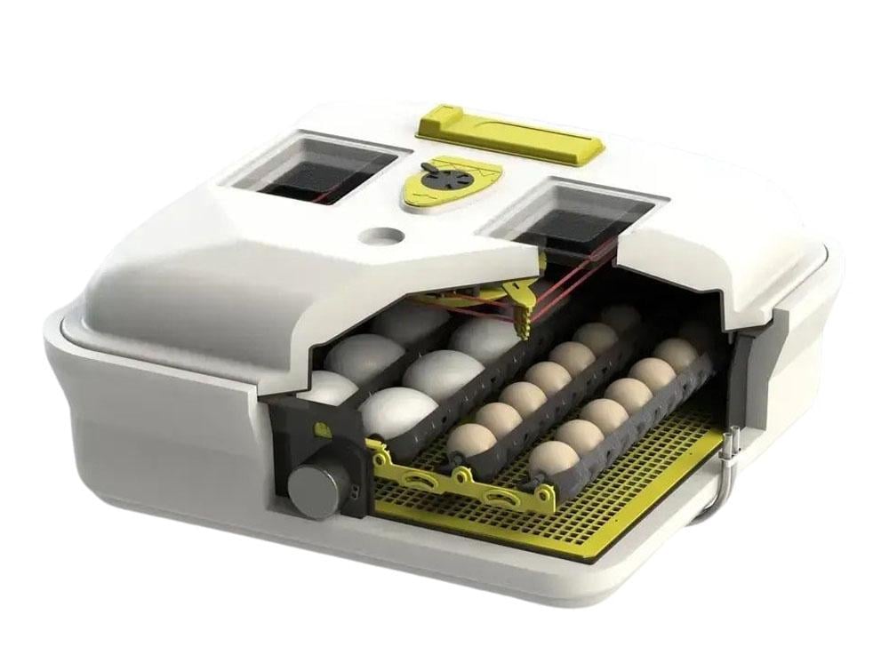 Инкубатор автоматический Теплуша 88 Euro ТАВ 220В со съемным лотком и подсветкой