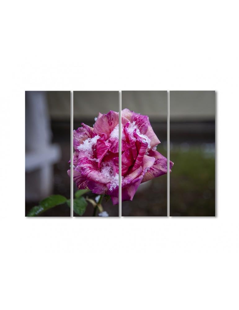 Картина модульная Роза и первый снег 4 модуля 70x105 см