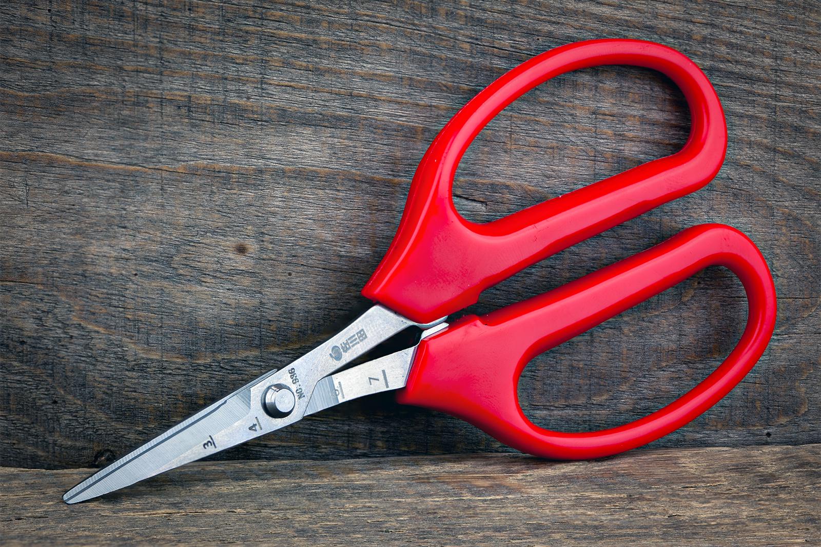 Садові ножиці Sagawata вигнуті з нержавіючої сталі 160 мм (936-I) - фото 6 Садові ножиці Sagawata вигнуті з нержавіючої сталі 160 мм (936-I) - фото 6