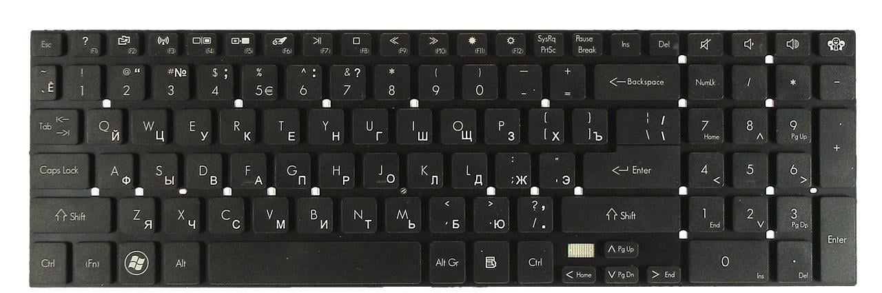 Клавиатура для ноутбука Acer Packard Bell EasyNote TV43HC матовая (KB.I170G.310)