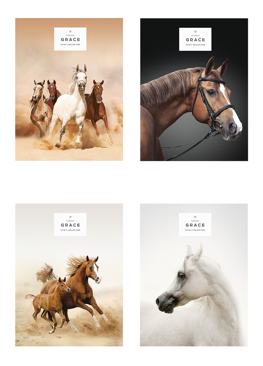 Комплект школьных общих тетрадей Школярик А5 48 л. в линейку 4 шт. (5061 4823088207590)