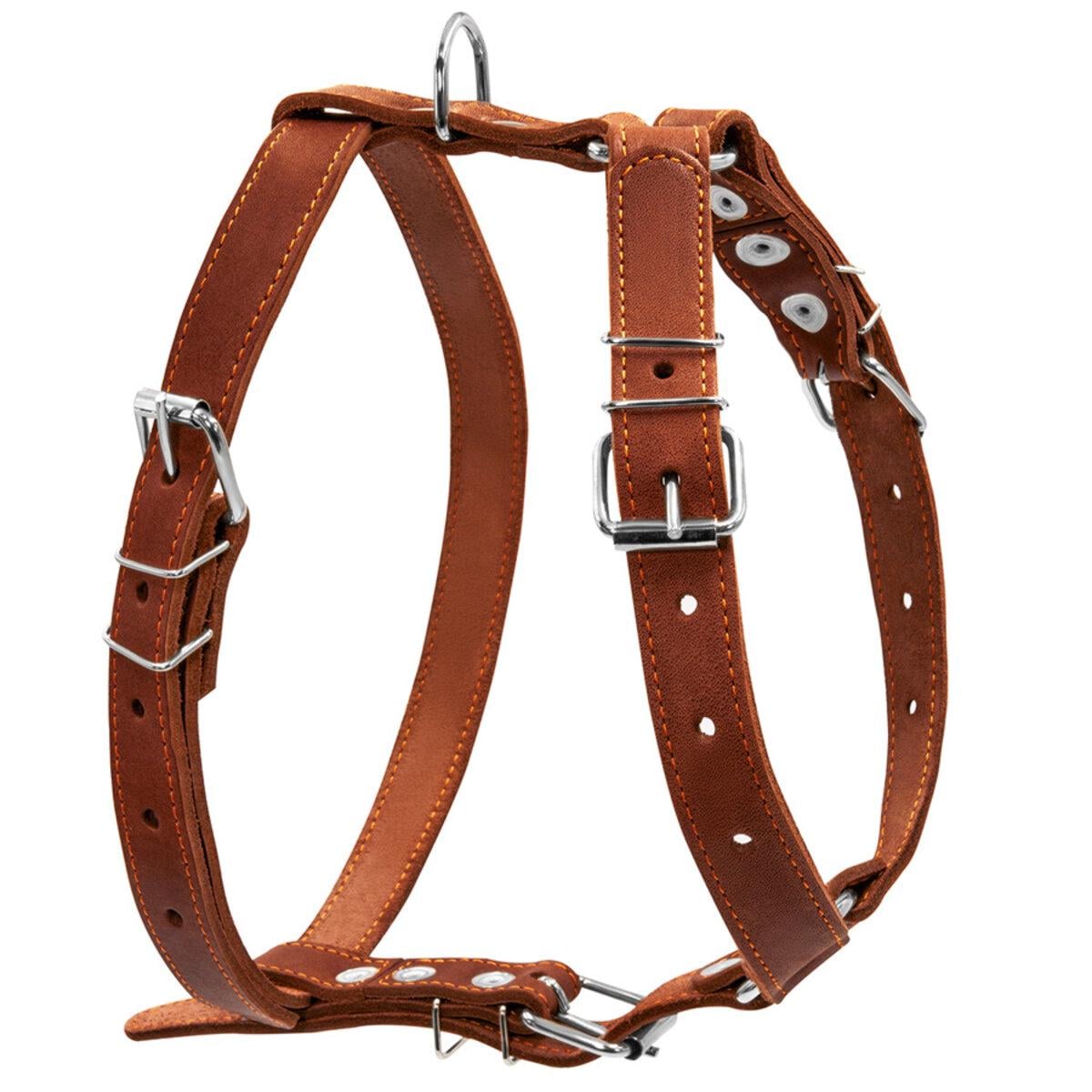 Шлея CoLLaR одинарна для середніх собак ширина 25мм А:49-68см В:68-80 см Коричневий
