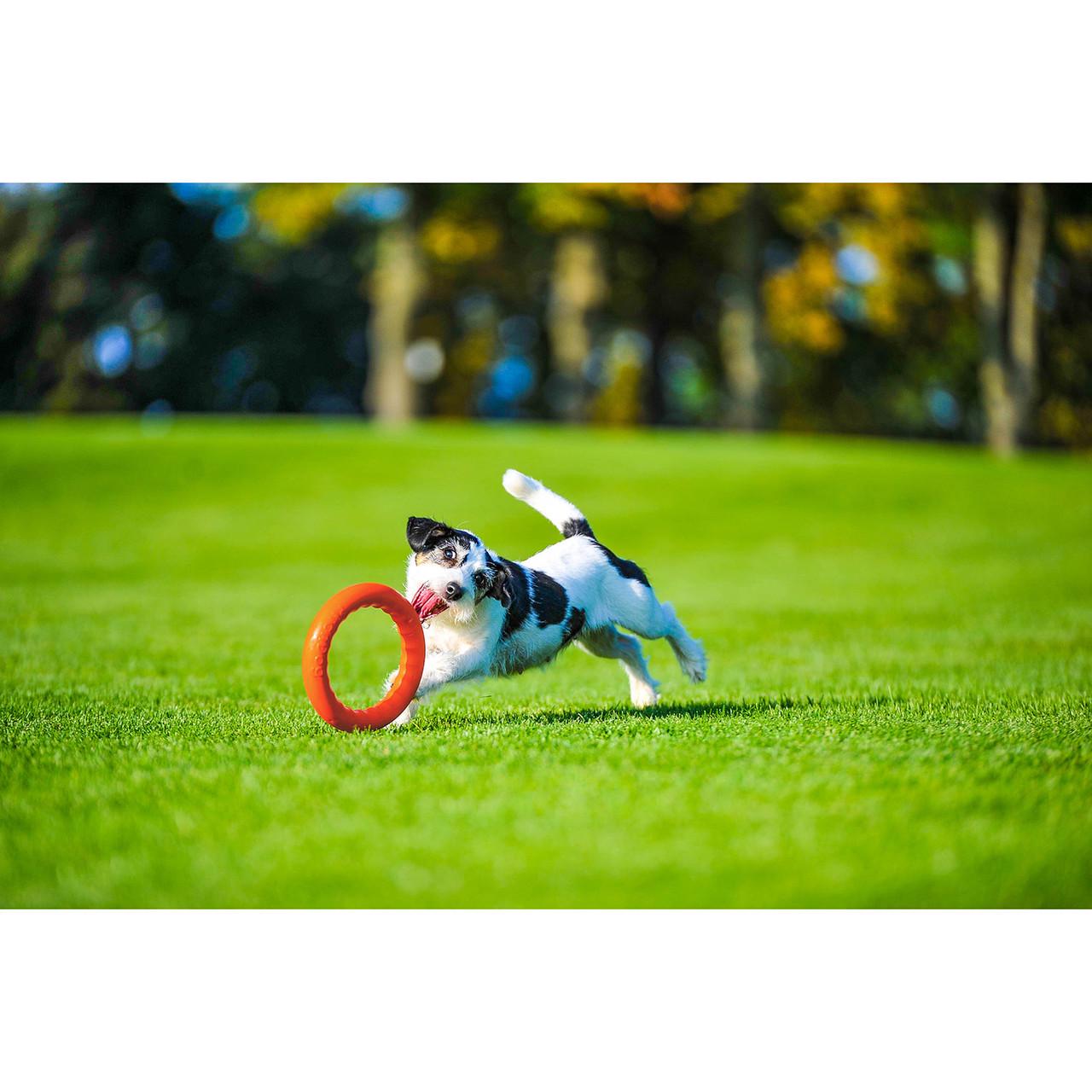 Іграшка для собак PitchDog 20 см Помаранчевий (62374) - фото 3 Іграшка для собак PitchDog 20 см Помаранчевий (62374) - фото 3