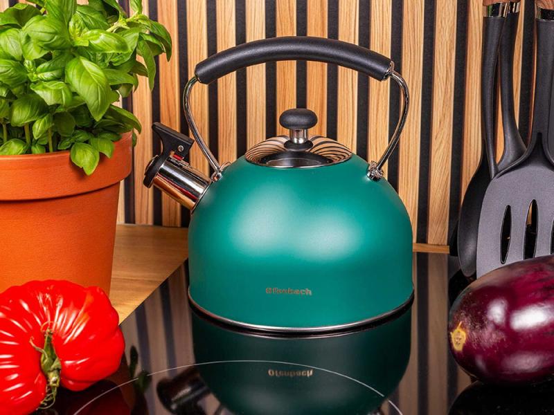 Чайник Ofenbach нержавіюча сталь зі свистком 2,2 л Зелений матовий (NB-100326) - фото 4