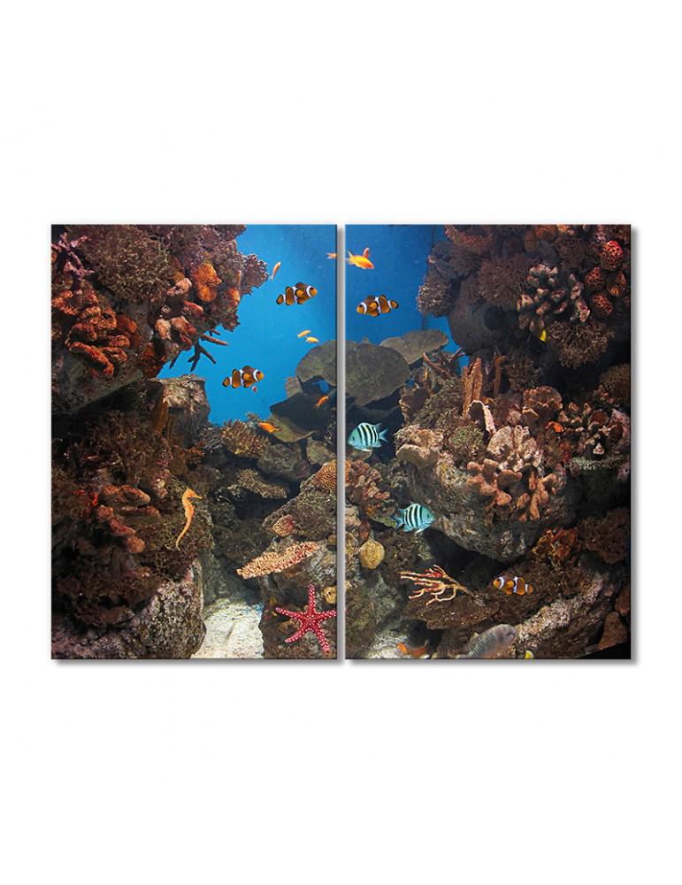 Картина модульная Рыбки в кораллах 2 модуля 70x105 см
