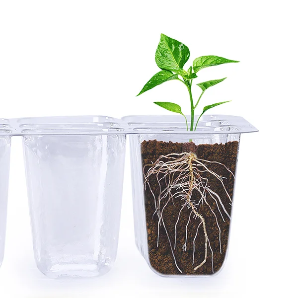 Теплица мини с крышкой C00636-1 на 12 ячеек 4 шт. - фото 3