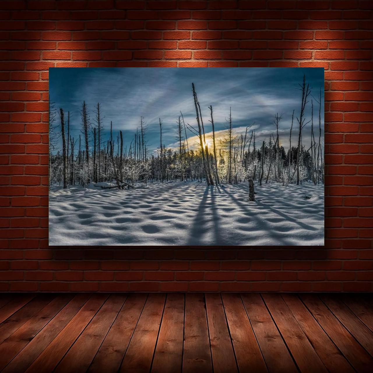 Картина на холсте Природа 50х70 см (N1157)