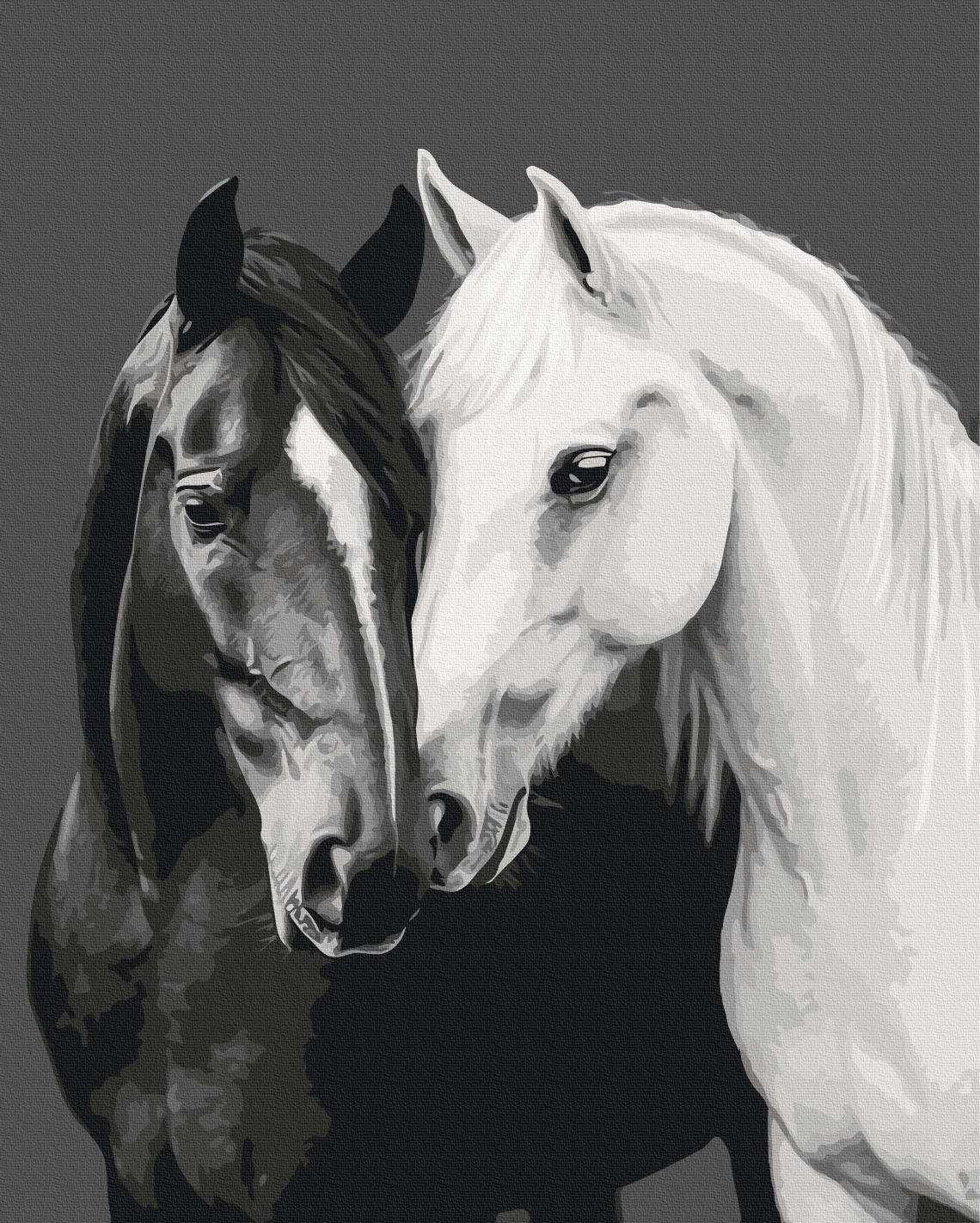 Картина по номерам Brushme Черное и белое из поликотонного полотна 40x50 см (6-83-BS54418)