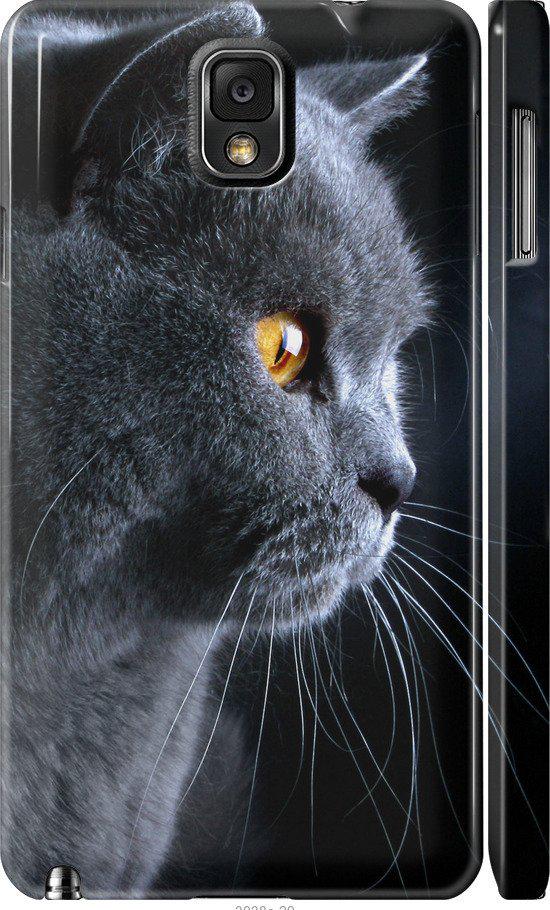Чохол на Samsung Galaxy Note 3 N9000 Гарний кіт (3038m-29-42517)