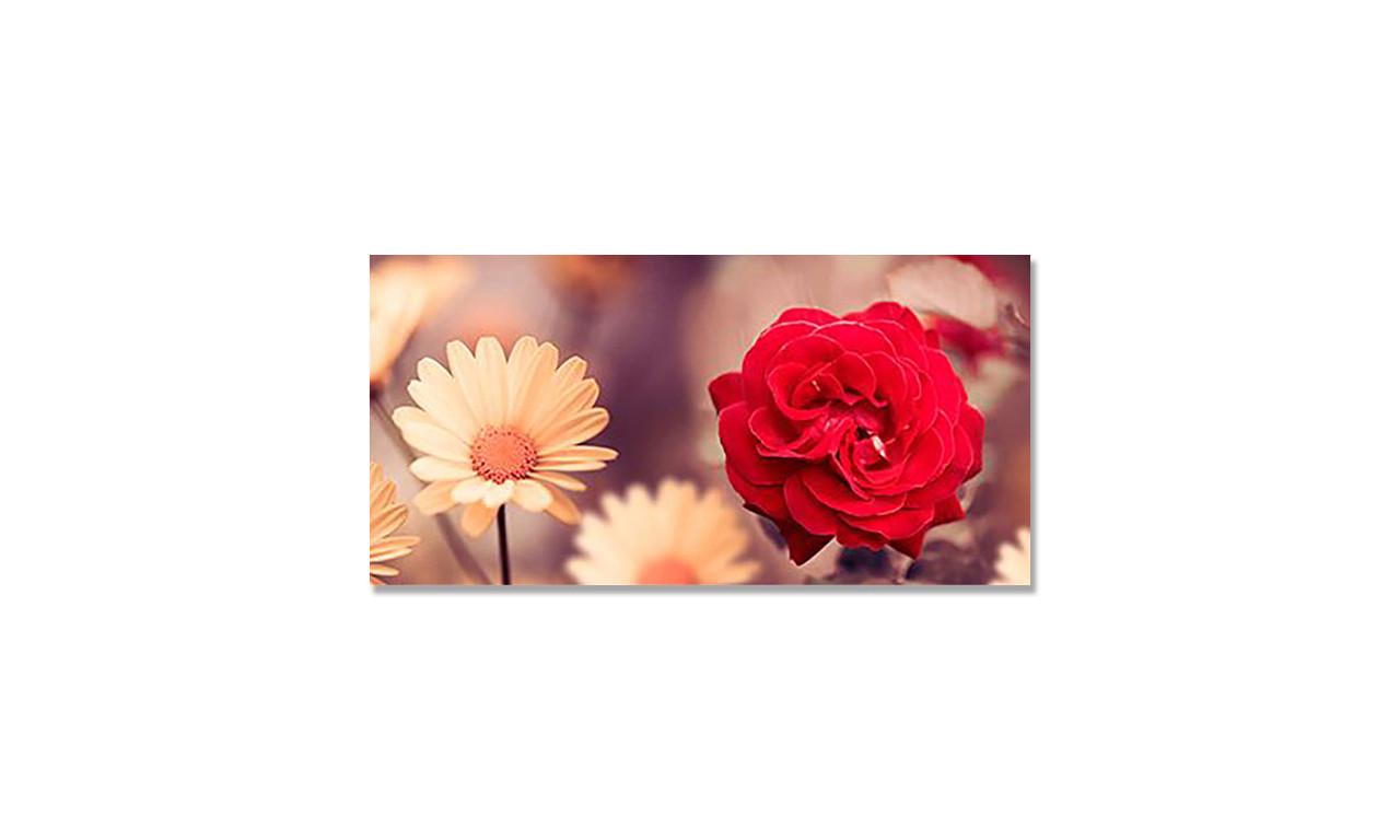 Наклейка виниловая на стол Zatarga Цветы в фокусе 600х1200 мм (1274515419)