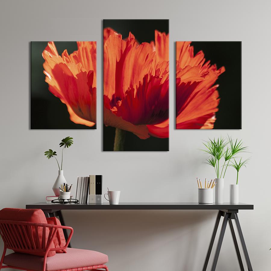 Картина на холсте триптих Ажурный цветок мака 66x40 см (969-32)