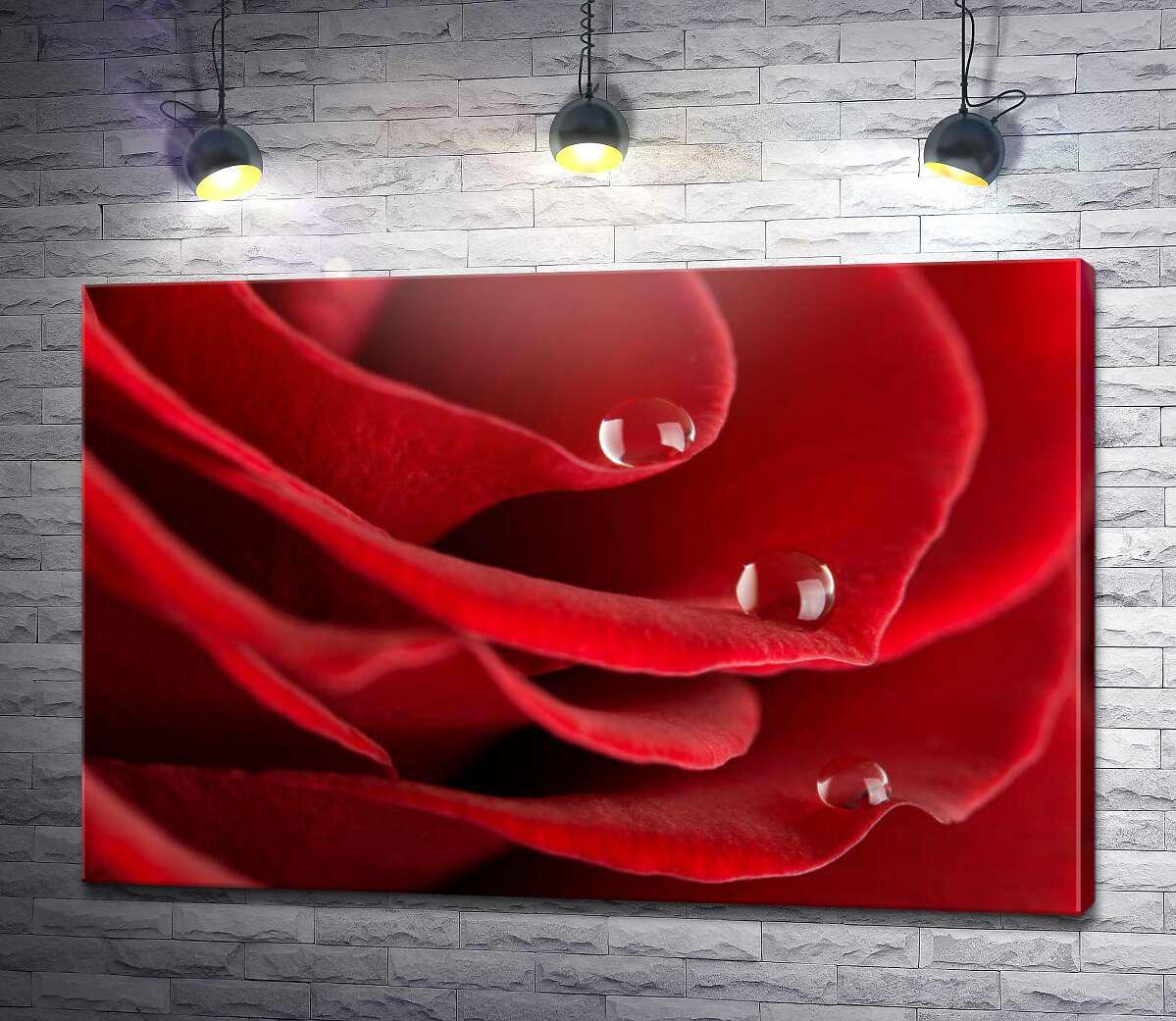 Картина ArtPoster Капли воды на розовых лепестках 100x67 см Модуль №1 (004441) Картина ArtPoster Капли воды на розовых лепестках 100x67 см Модуль №1 (004441)