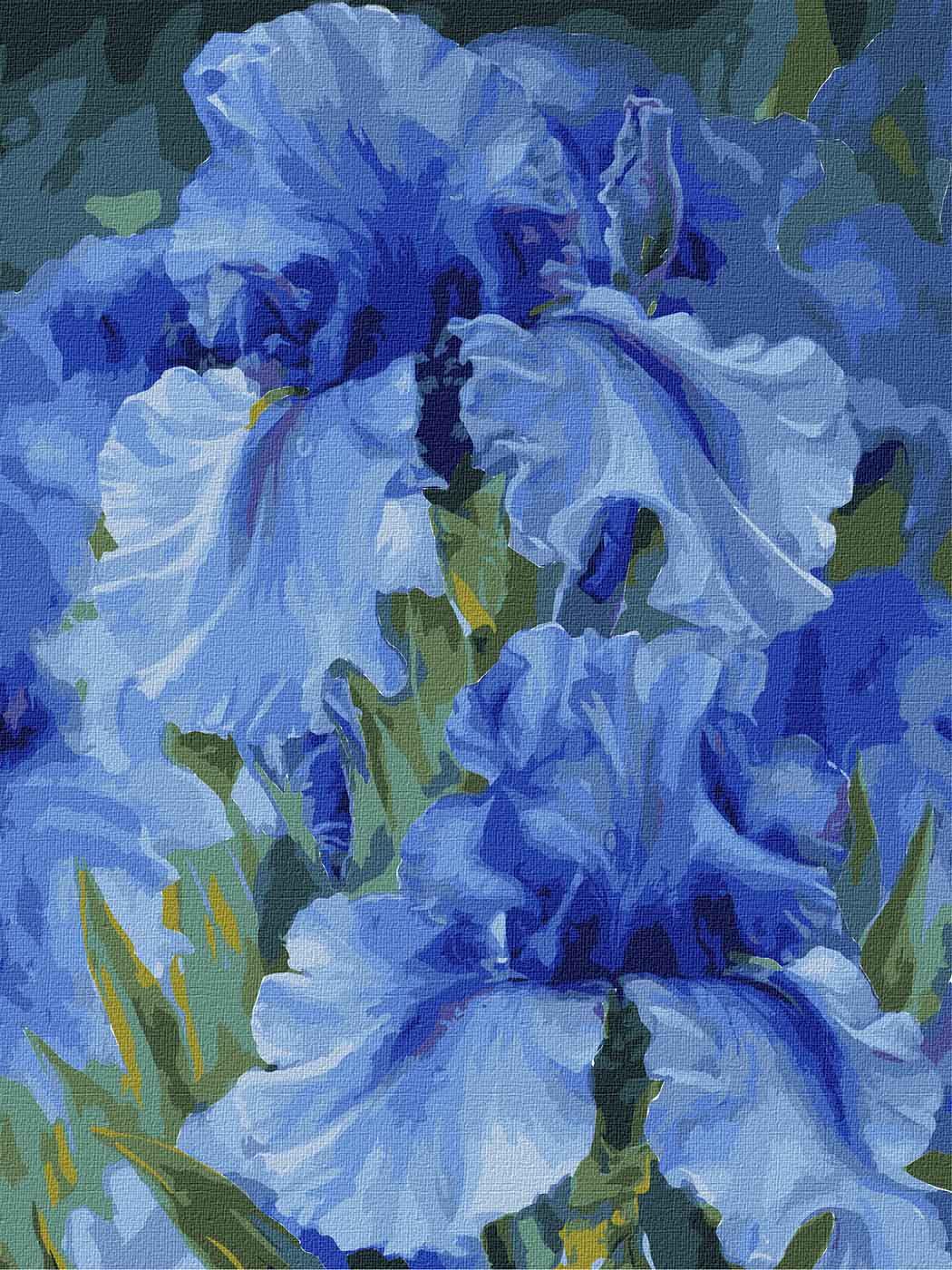 Картина по номерам Идейка Голубые ирисы КНО2988 холст на подрамнике 40x30 см (1477377829)