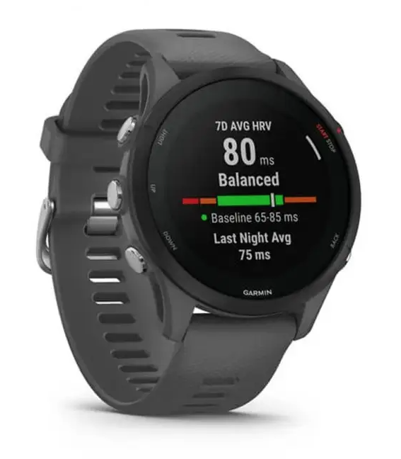 Смарт-годинник Garmin Forerunner 255 Slate Gray (010-02641-00/10) - фото 2