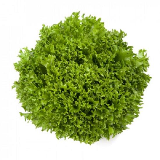 Семена Rijk Zwaan Салат Саланова Экспедишн 100 шт. (234446)