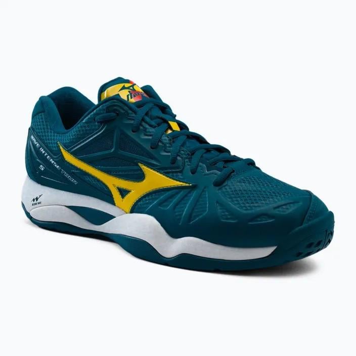 Кросcовки мужские Mizuno SHOE WAVE INTENSE Tour 5 AC р. 44 Синий (UK 9,5 61GA1900-30 44)