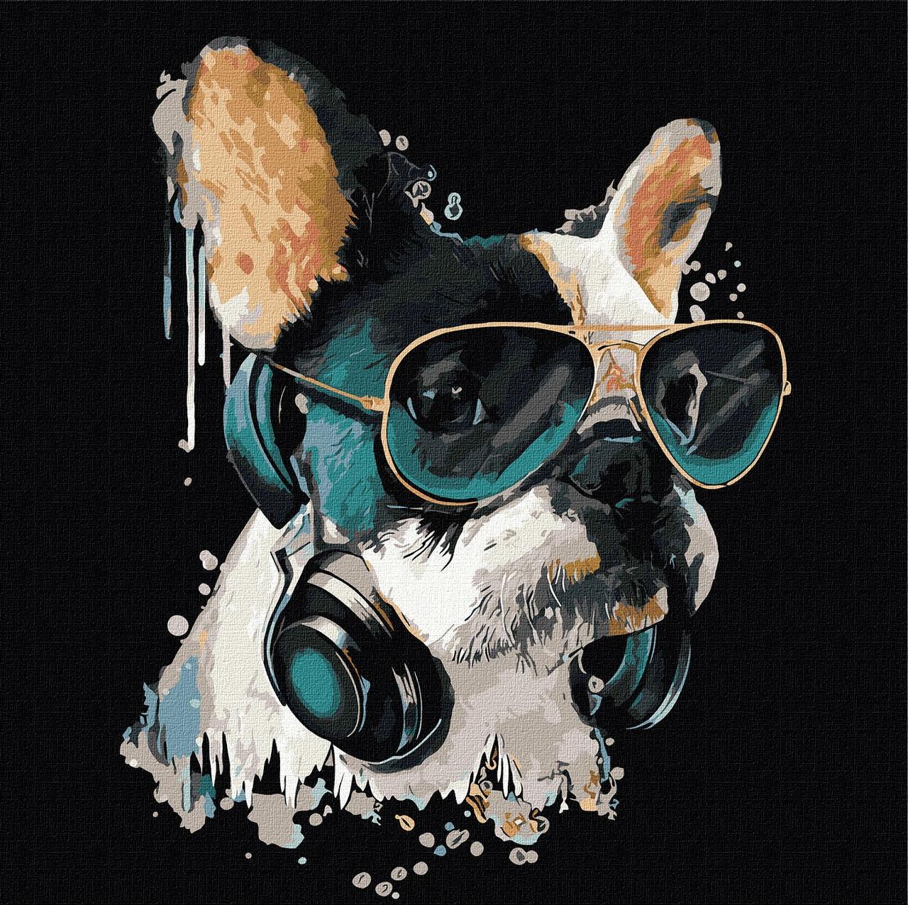 Картина по номерам Идейка Пушистый диджей KHO4309 холст на подрамнике 40х40 см (1637932339)