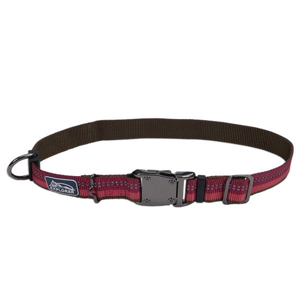 Ошейник светоотражающий для собак Coastal K9 Explorer Collar 2,5х30-46 см (36922_BRY18)