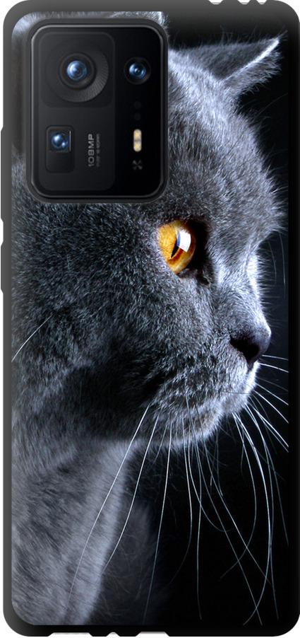 Чехол на Xiaomi Mix 4 Красивый кот (3038b-2475-42517)