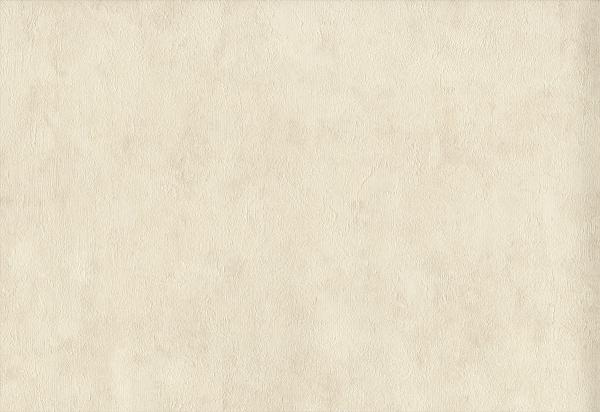 Обои виниловые на флизелиновой основе 1.06x10.05 A.S.Creation Stories Milan 37381-4