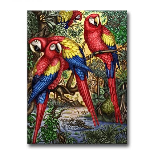 Картина Три Попугая 60x80 см (P0489)
