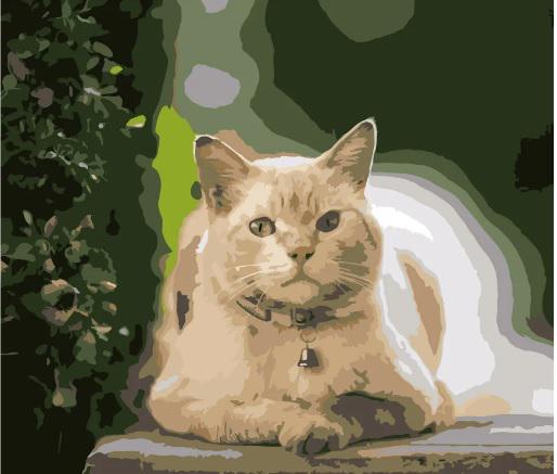 Картина по номерам Стратег Кот на отдыхе dy182 40x50 см (MTT-168199)