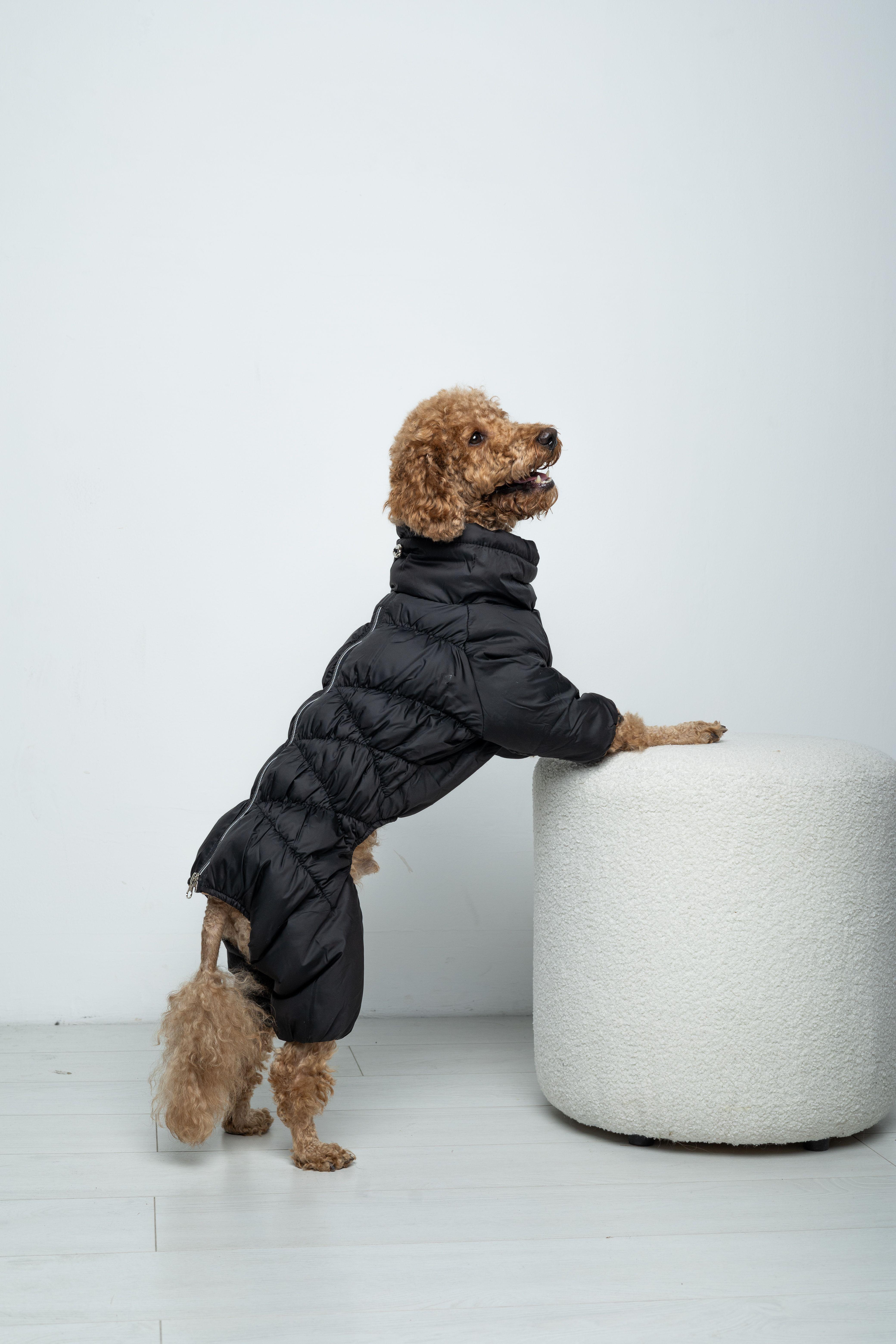 Комбінезон зимовий для собак Dogs Bomba р. 4 - фото 2 Комбінезон зимовий для собак Dogs Bomba р. 4 - фото 2