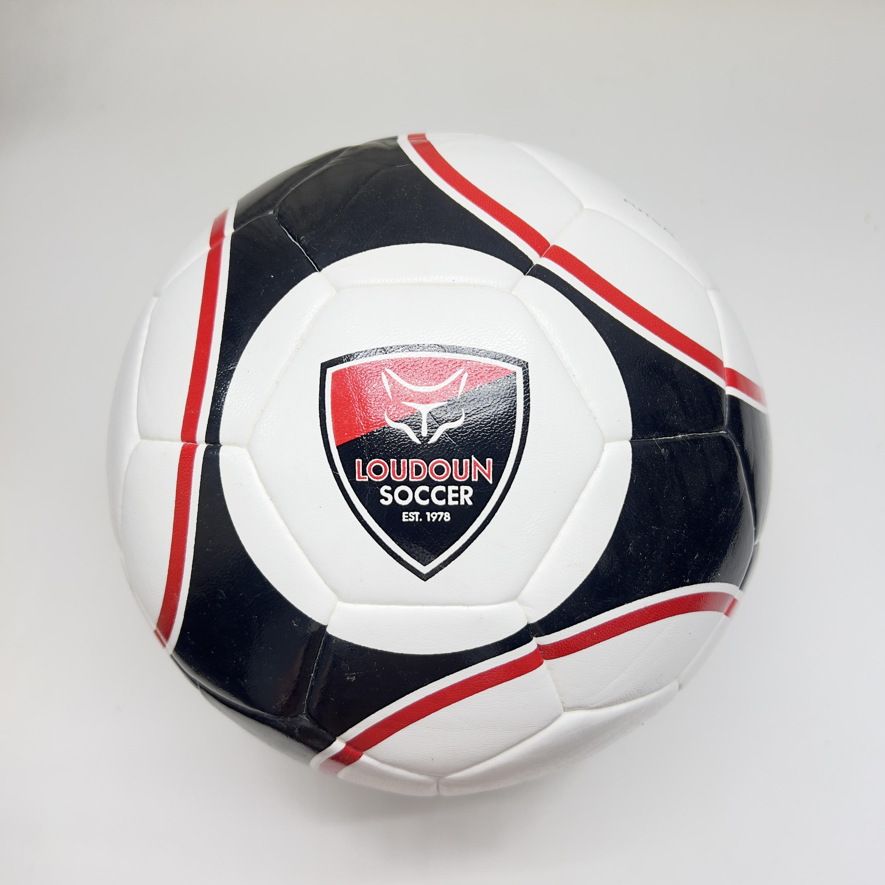 М'яч футзальний Loudoun Soccer Size 4 (11254197)