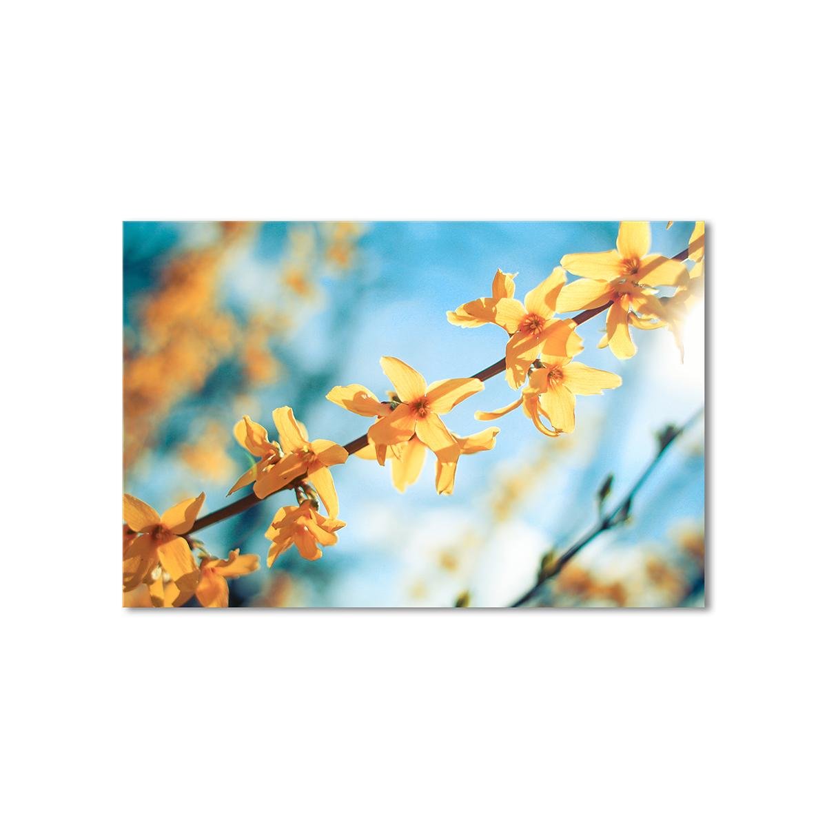 Картина модульная Ветка Форзиции 1 модуль 60x90 см