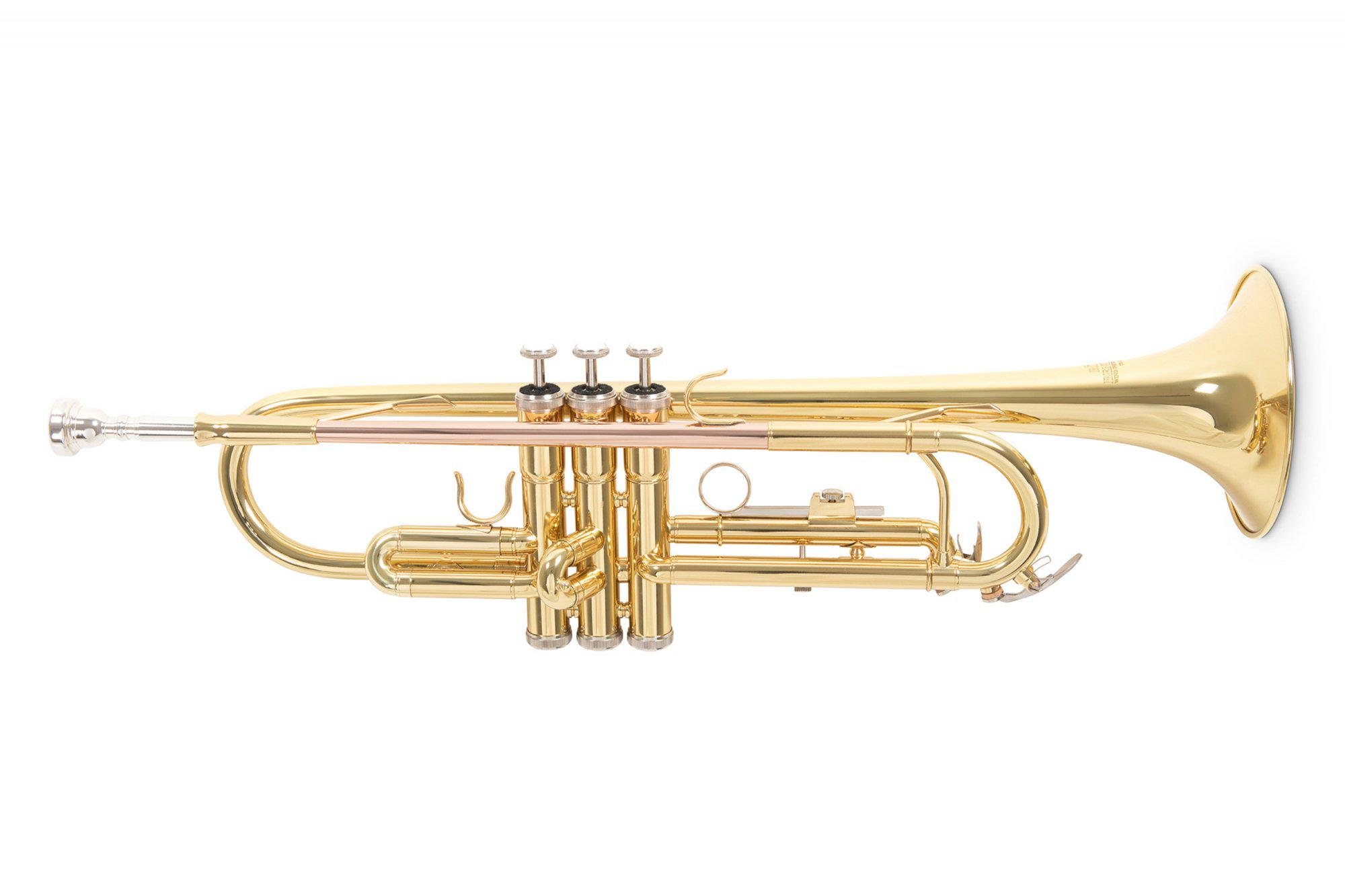 Труба Roy Benson TR-101 Bb-Trumpet (G-RB701050)