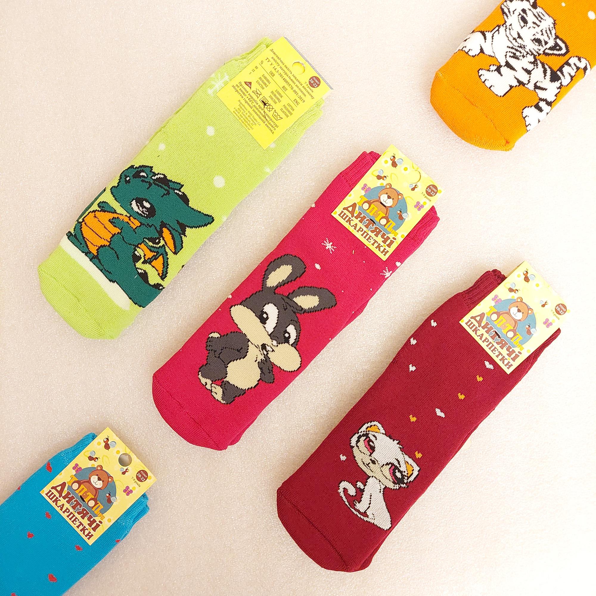 Набір шкарпетки дитячі зимові махрові Житомир для дівчинки 7 років 6 пар Різнокольорові (0592) - фото 2 Набір шкарпетки дитячі зимові махрові Житомир для дівчинки 7 років 6 пар Різнокольорові (0592) - фото 2