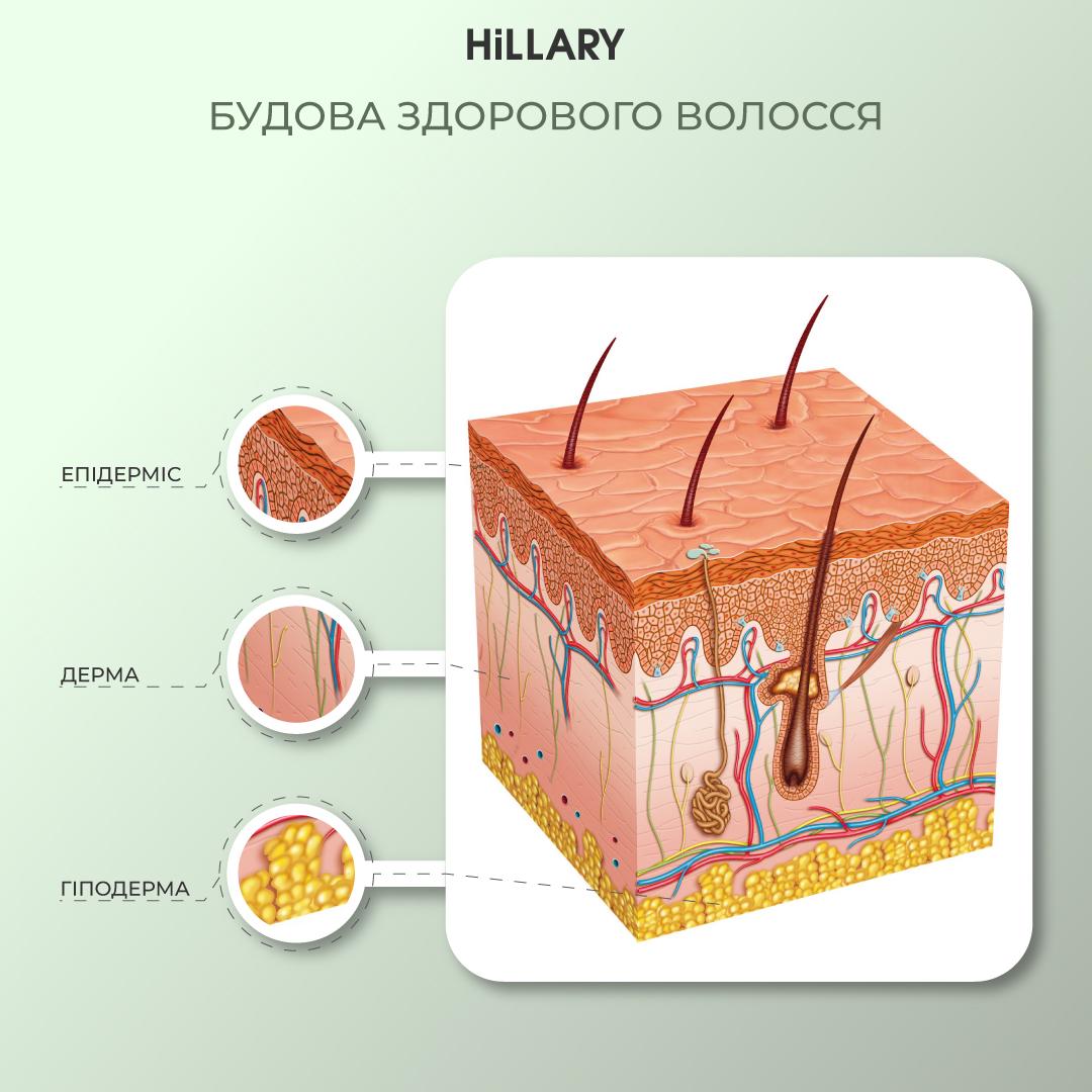 Мультиактивный комплекс Hillary Multi-Active Hop Cones с экстрактом шишек хмеля 50 мл (HI-07-132) - фото 5