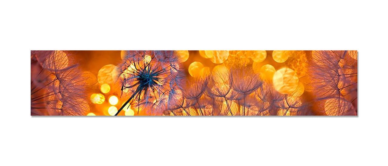 Наклейка виниловая на кухню Zatarga Одуванчики на закате 600х3000 мм (1262637281)