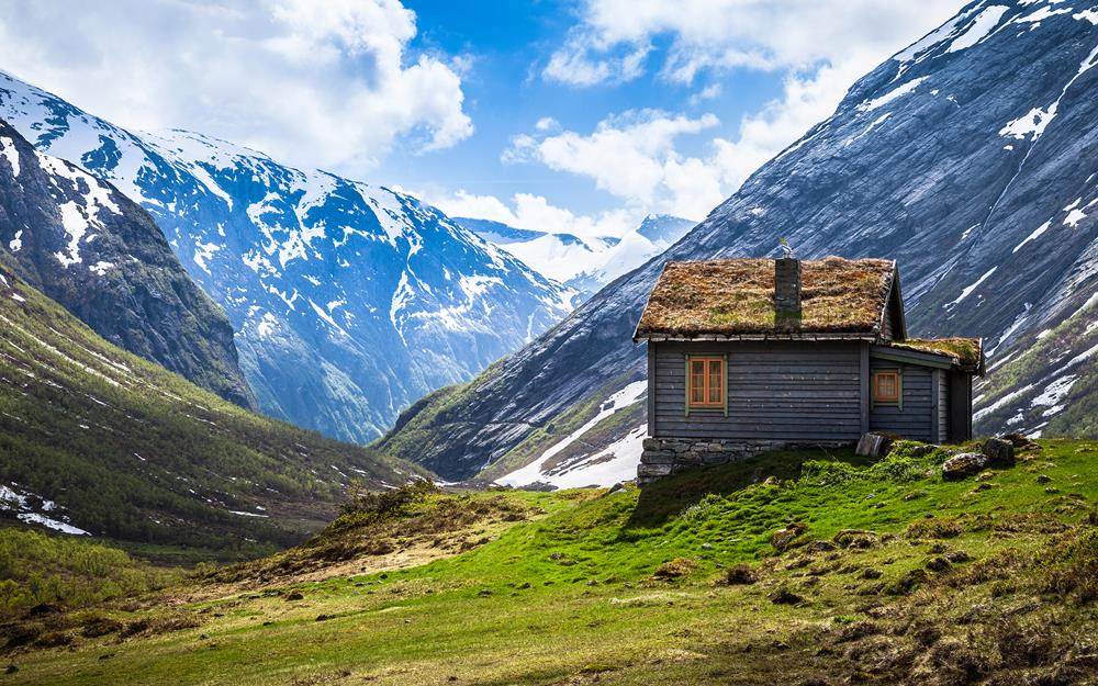 Картина Природа PR175 35х55 см