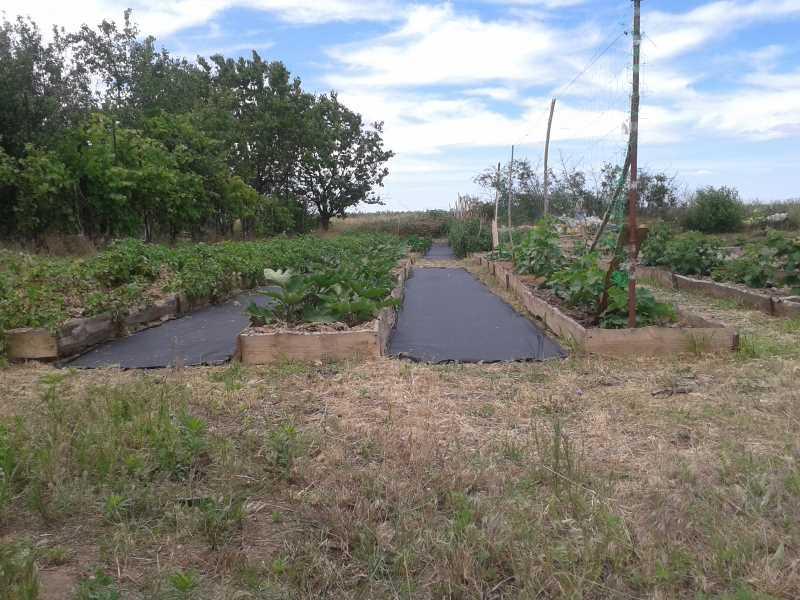 Геотекстиль GARDEN FLORA П-110 3,2x25 м Чорний (25244719) - фото 6 Геотекстиль GARDEN FLORA П-110 3,2x25 м Чорний (25244719) - фото 6