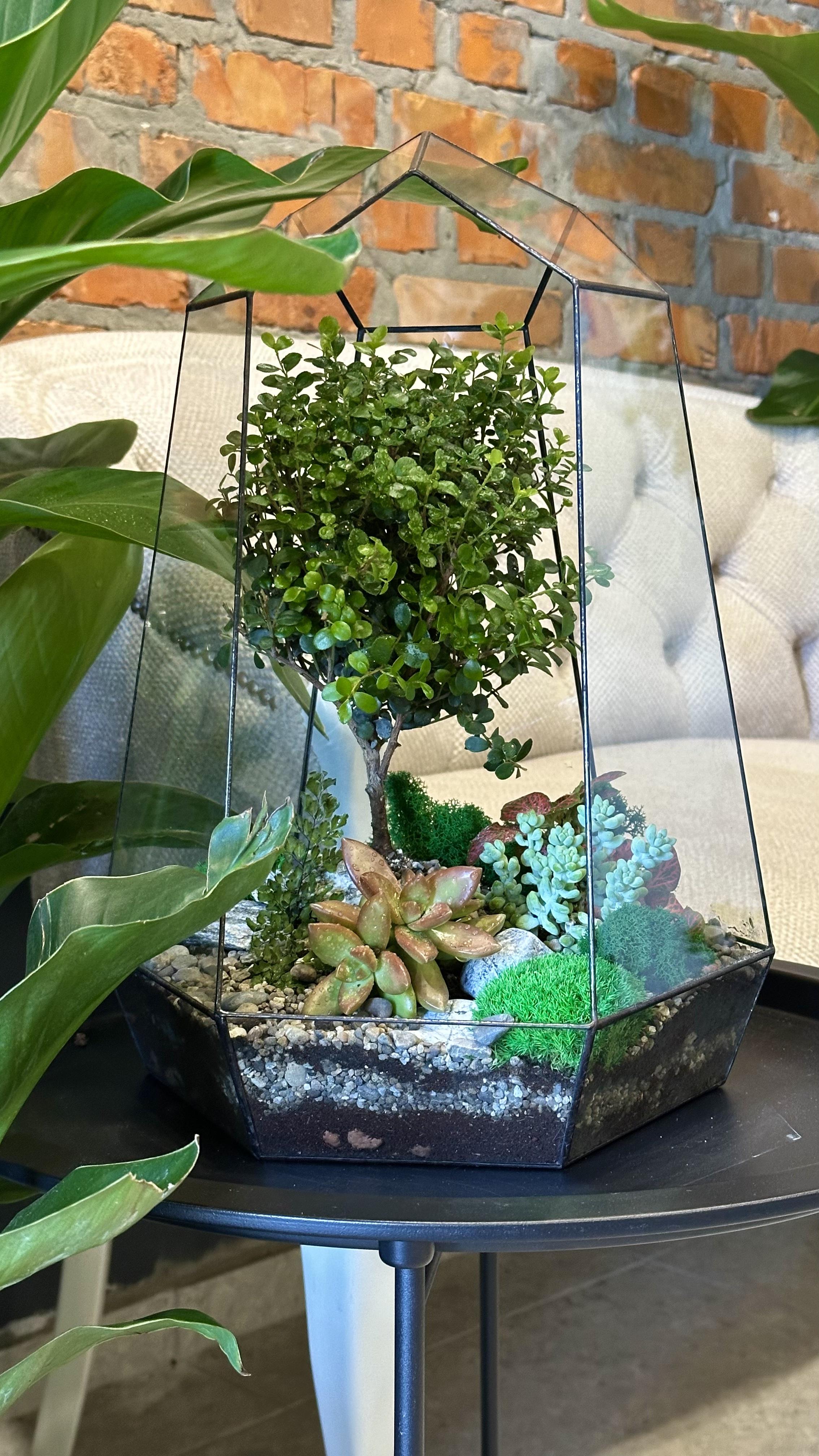 Флораріум Фантастичний подарунок 40 см (28748819)