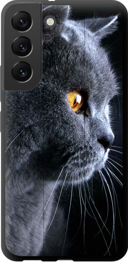 Чехол на Samsung Galaxy S22 Красивый кот (3038b-2494-42517)