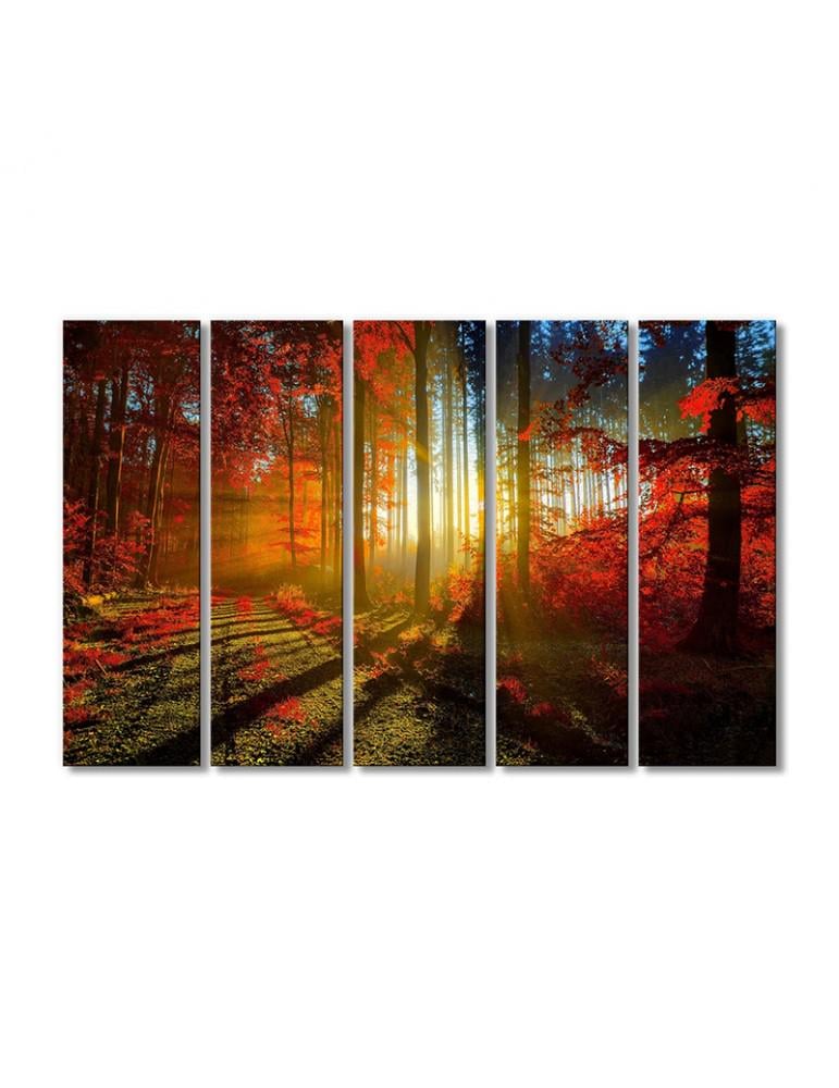 Картина модульная Солнечные лучи сквозь лес 5 модулей 90x135 см (005122Pejzazh0009) Картина модульная Солнечные лучи сквозь лес 5 модулей 90x135 см (005122Pejzazh0009)