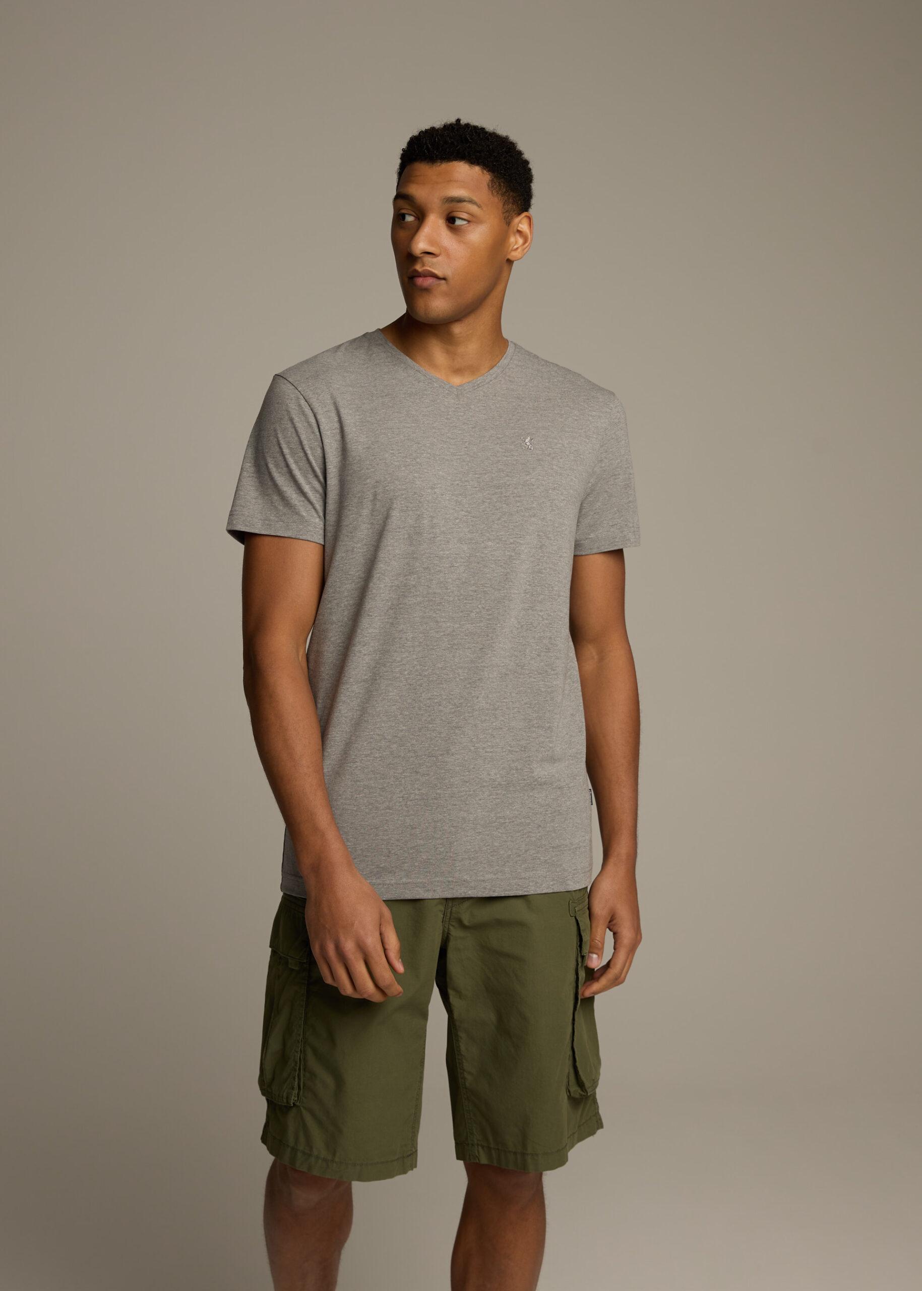 Футболка мужская Diverse V NECK 253 M Серый Меланж (5905384137241)