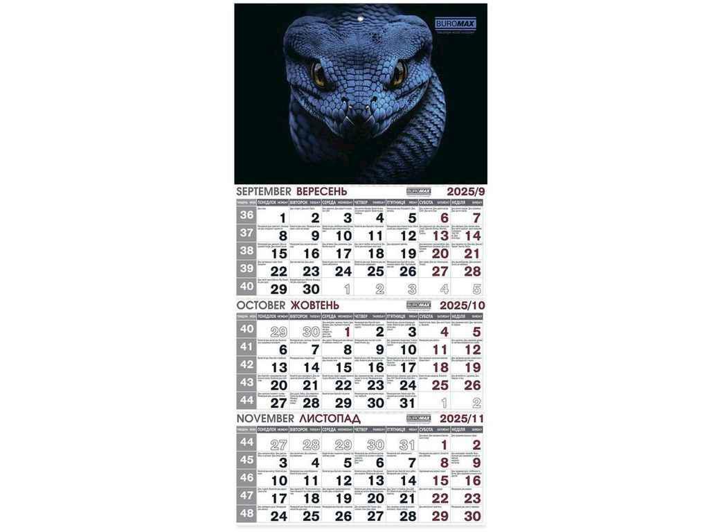 Календар Buromax настінний квартальний на 2025р. 3 пружини змій (1102074)