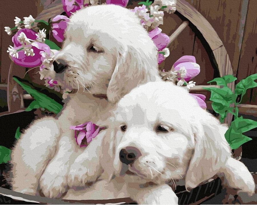 Картина за номерами Милі щенята (GX40172)