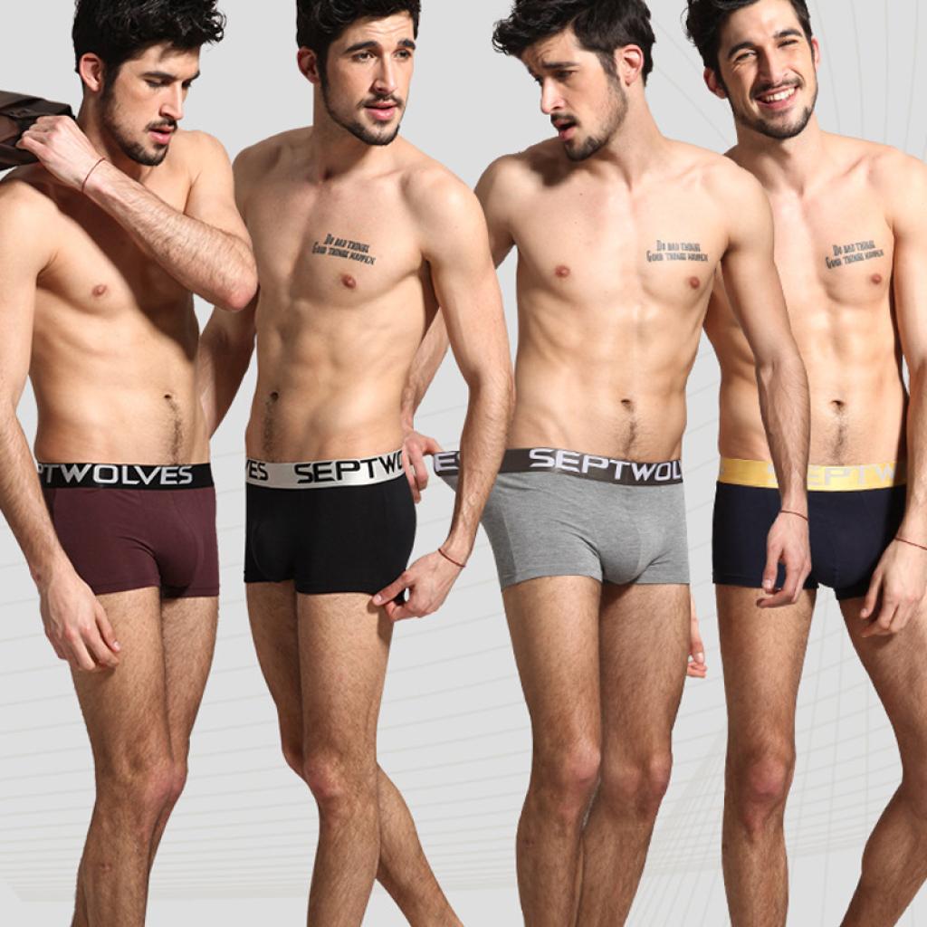 Трусы мужские Septwolves 7002 XL 4 шт. (1464691) - фото 8 Трусы мужские Septwolves 7002 XL 4 шт. (1464691) - фото 8
