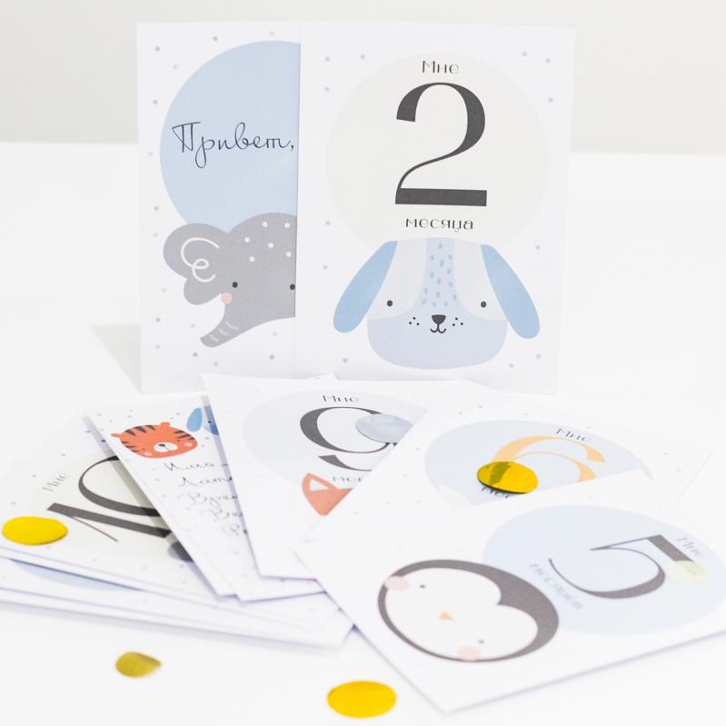 Набор детских карточек для фотоссесий Привет Мир Animals