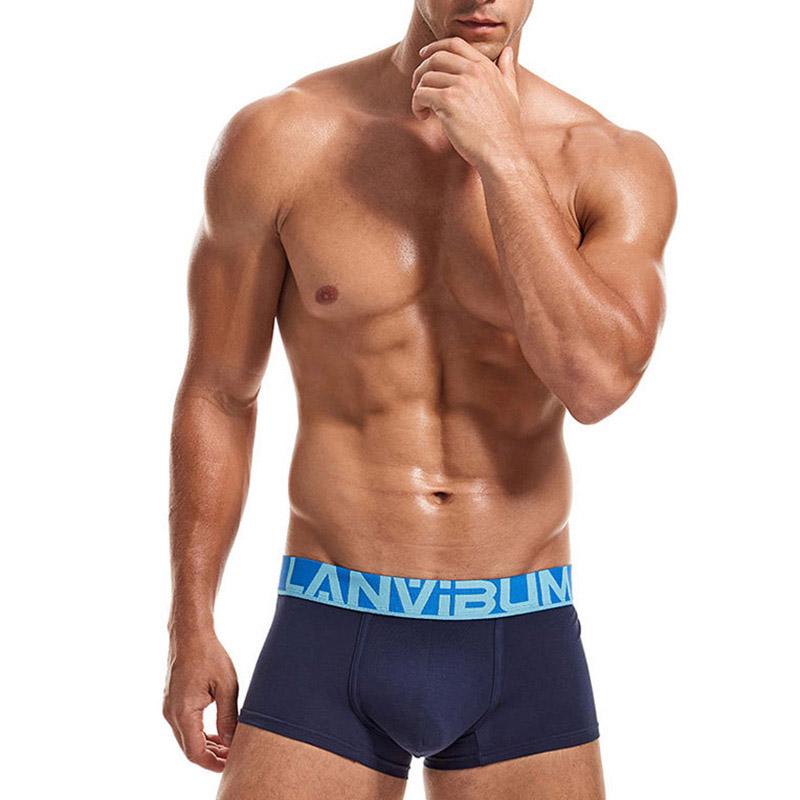 Трусы Lanvibum XL Темно-синий (7548) Трусы Lanvibum XL Темно-синий (7548)