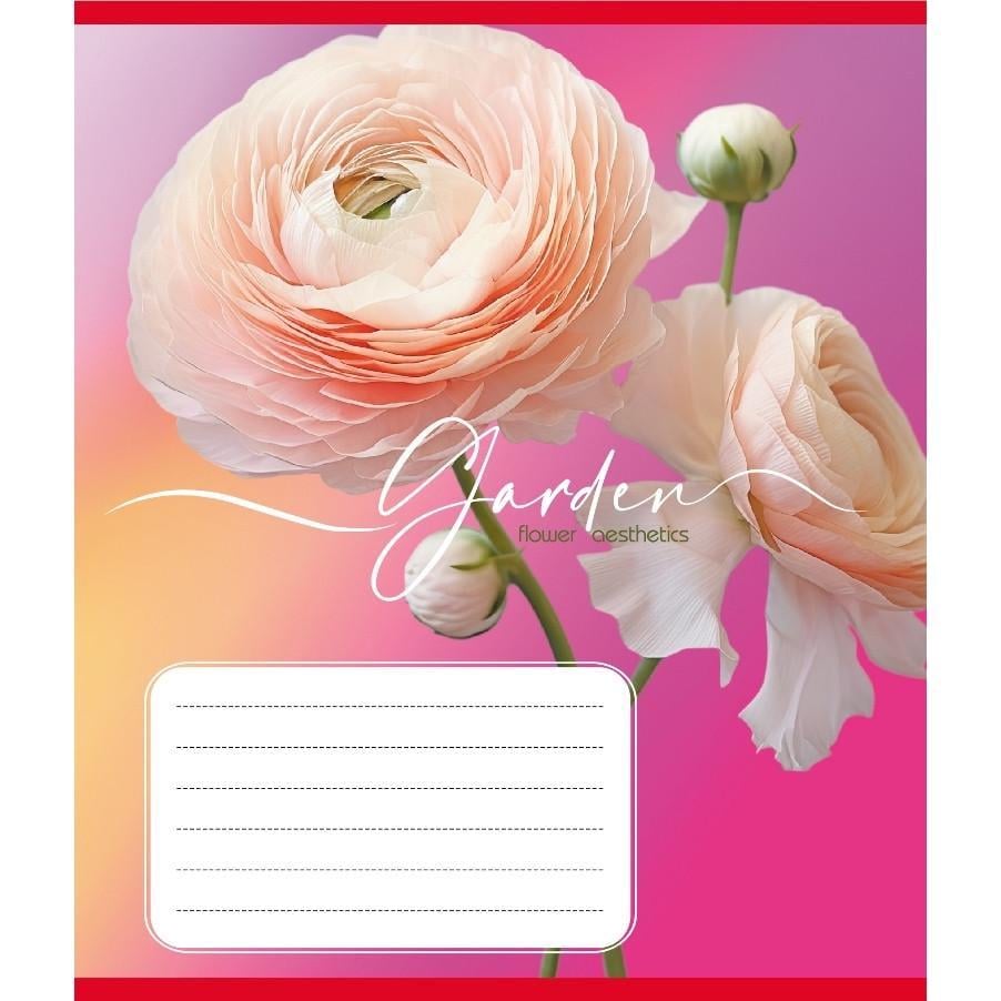 Шкільний зошит Естетика 024-550443K-4 в клітинку 24 аркуші (RLT55305)