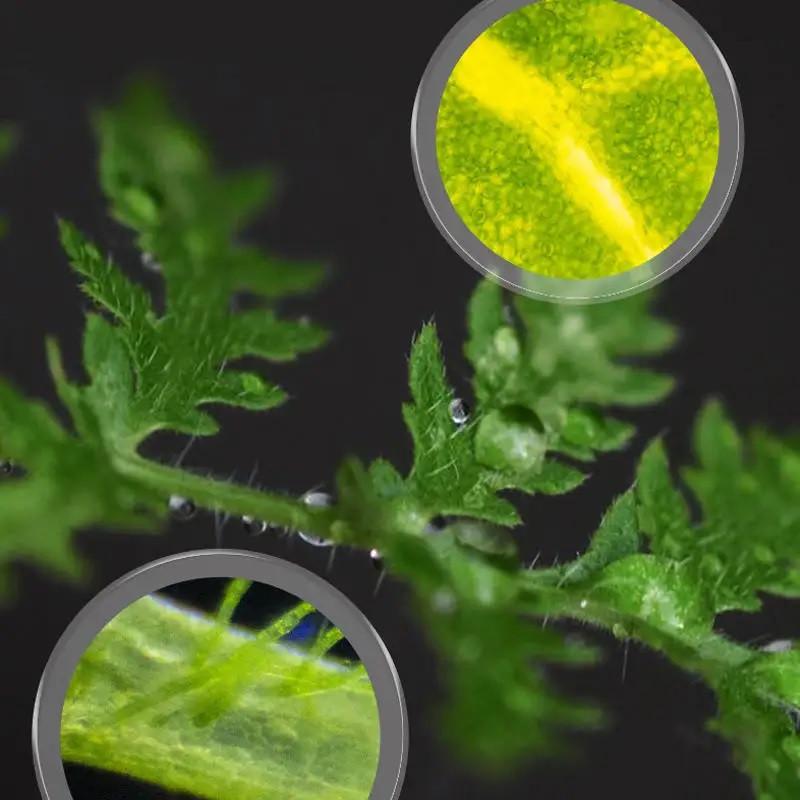 Набор детский Микроскоп на батарейках с подсветкой х1200 (28443827) - фото 8 Набор детский Микроскоп на батарейках с подсветкой х1200 (28443827) - фото 8